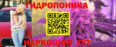 ГАЛЛЮЦИНОГЕННЫЕ ГРИБЫ Гусев